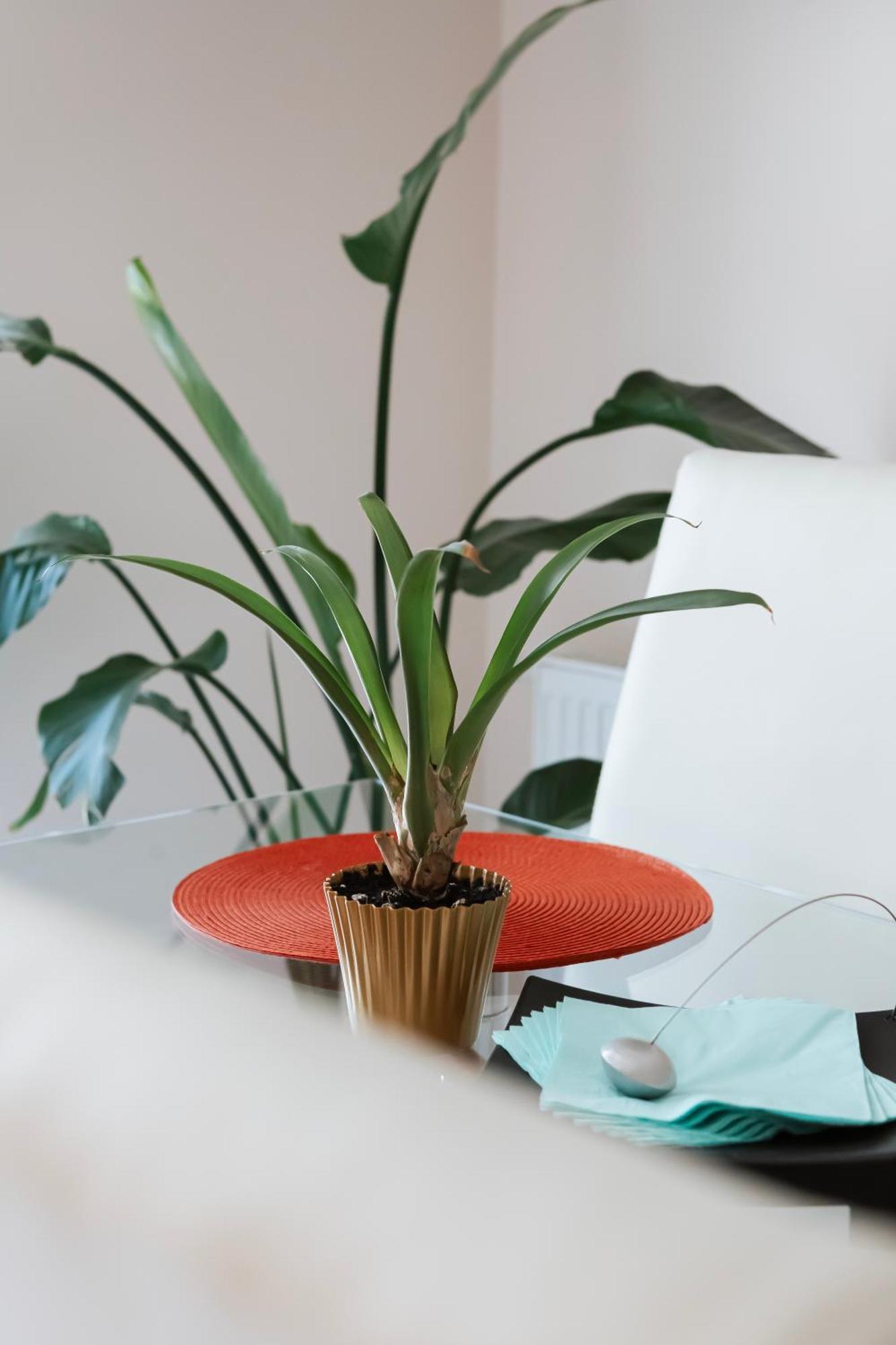 Apartament Cyrkoniowa Lublin Eksteriør billede